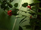 DSCN7830