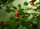 DSCN7835