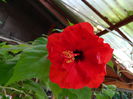 DSCN8096