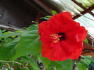 DSCN8097