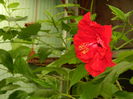 DSCN8104