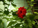 DSCN8227