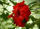 DSCN8230