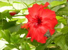 DSCN8233