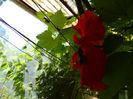 DSCN8236