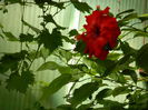 DSCN8240