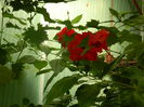 DSCN8433