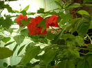 DSCN8439