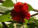 DSCN8462