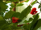 DSCN9263