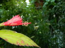 DSCN9513