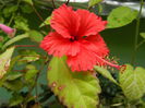 DSCN9538