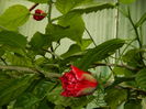 DSCN9963