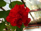 DSCN0296