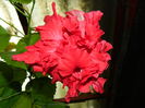 DSCN0340
