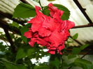 DSCN0354