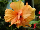 DSCN0448