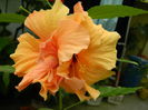 DSCN0450