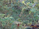 DSC07175