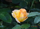 DSC06802