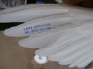 Porumbel personalizat ;)
