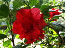 DSC07222