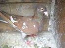 DSCN7332