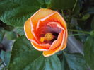 DSC02542