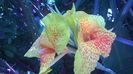 WP_20140827_14_20_39_Pro