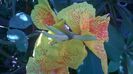 WP_20140827_14_20_47_Pro