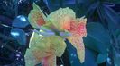 WP_20140827_14_20_50_Pro