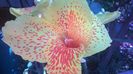 WP_20140827_14_21_01_Pro