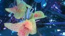 WP_20140827_14_21_09_Pro