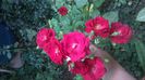 WP_20140827_14_57_42_Pro