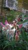 WP_20140827_14_58_22_Pro