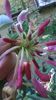 WP_20140827_14_58_32_Pro