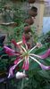 WP_20140827_14_58_57_Pro