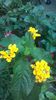 WP_20140827_14_59_11_Pro