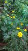 WP_20140827_14_59_39_Pro
