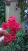 WP_20140827_15_00_02_Pro