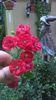 WP_20140827_15_00_10_Pro