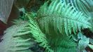 WP_20140827_15_00_48_Pro