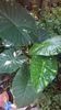 WP_20140827_15_01_20_Pro