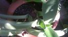 WP_20140827_15_02_37_Pro