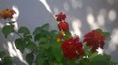 WP_20140827_15_03_09_Pro