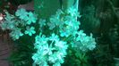 WP_20140827_15_04_10_Pro