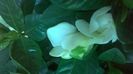 WP_20140827_15_04_42_Pro