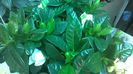 WP_20140827_15_04_56_Pro