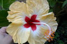 sylvia goodman-83