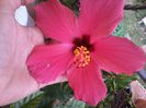 20140826_155815